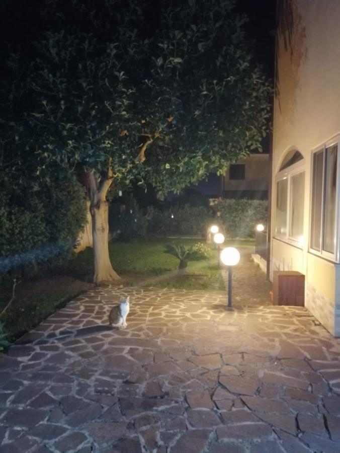 Villa Cavalluccio Marino Con Piscina Idromassaggio Carini Buitenkant foto